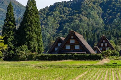 From Kyoto: Shirakawa-go & Kanazawa Bus Day Tour with Round-Trip Shinkansen Tickets (Lunch Not Included) — 3