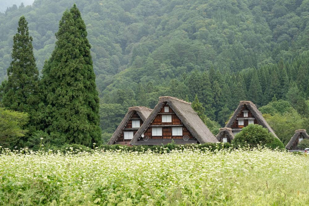 From Kanazawa: Shirakawa-go Bus Day Tour with Optional Kanazawa Highlights