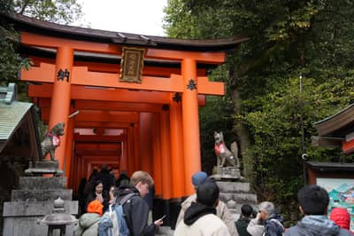 Lo mejor de Kioto: Nijo, Kinkaku-ji, Arashiyama, Kiyomizu-dera y Fushimi Inari con entradas opcionales — 7