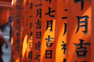 Lo mejor de Kioto: Nijo, Kinkaku-ji, Arashiyama, Kiyomizu-dera y Fushimi Inari con entradas opcionales — 9