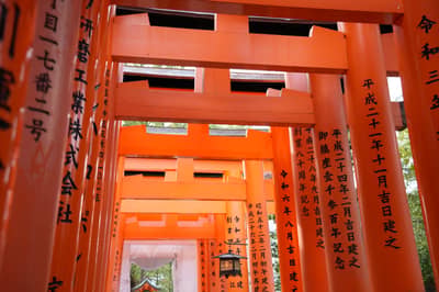 Lo mejor de Kioto: Nijo, Kinkaku-ji, Arashiyama, Kiyomizu-dera y Fushimi Inari con entradas opcionales — 8