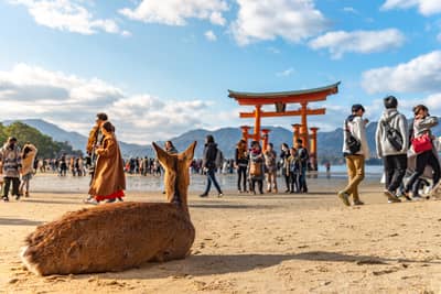 從京都出發，廣島與宮島一日遊，包含嚴島神社與渡輪 — 10