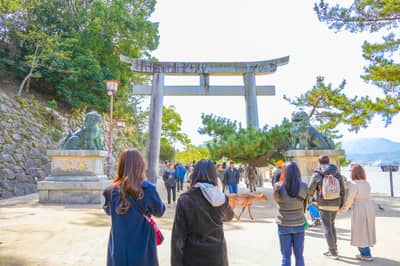 從京都出發，廣島與宮島一日遊，包含嚴島神社與渡輪 — 8