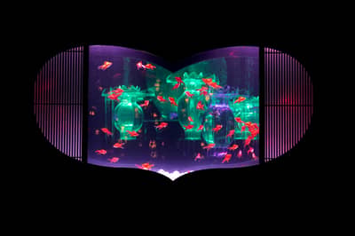 Tiket Masuk Umum Art Aquarium Museum GINZA (LT) — 11