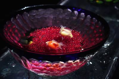 Tiket Masuk Umum Art Aquarium Museum GINZA (LT) — 10
