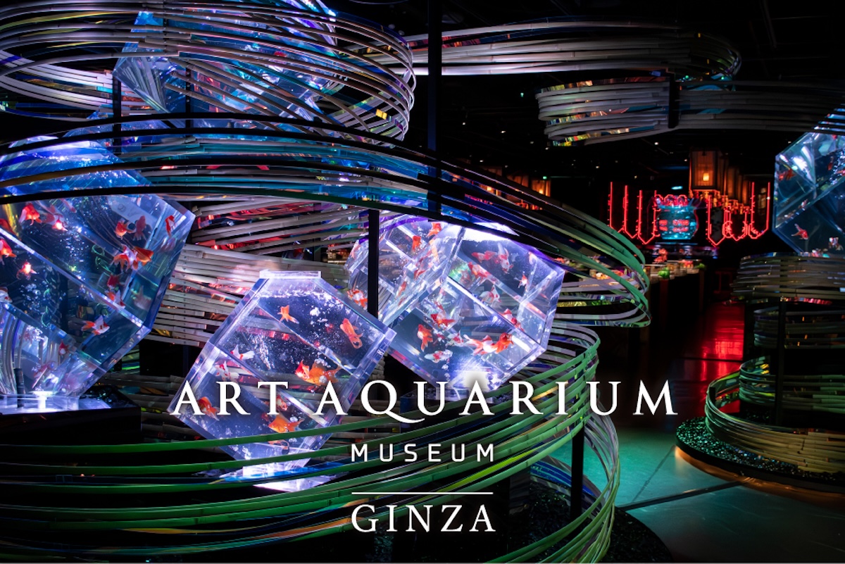 アートアクアリウム美術館 GINZA General Admission Ticket (LT)