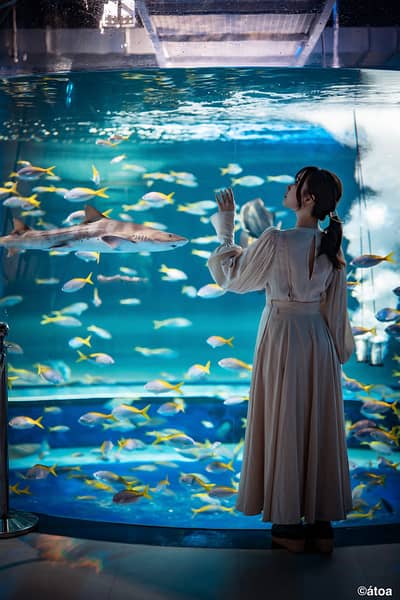 Kobe Urban Aquarium AQUARIUM×ART átoa Admission Ticket + Hankyu 1-Day Pass Set