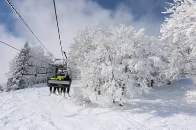Akakura Onsen Ski Resort Lift Ticket + Lunch Ticket (Myoko, Niigata) — 2