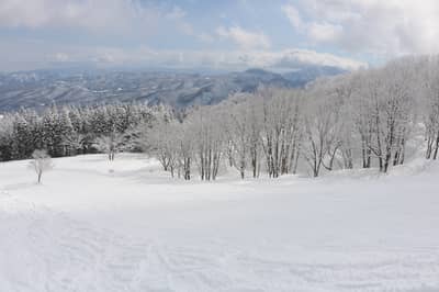 Akakura Onsen Ski Resort Lift Ticket + Lunch Ticket (Myoko, Niigata)