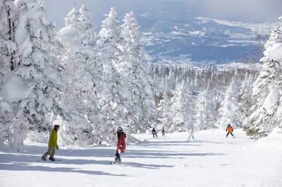 Ryuoo Ski Park Lift Ticket + High-Brand Rental (Snowboard Set & Wear Top and Bottom) — 4