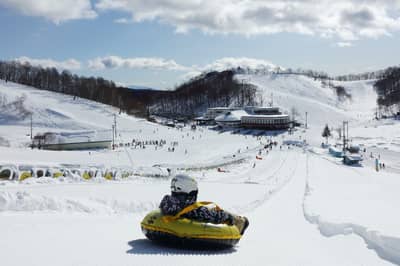 Hakuba Kashimayari Ski Resort Lift Ticket + Bathing Ticket + Pokémon Adventure Discount Ticket Included