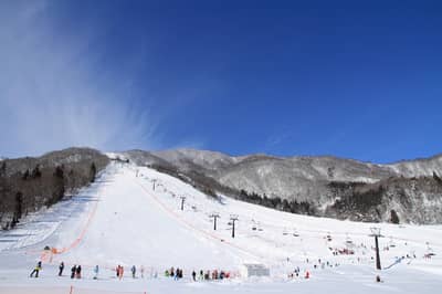Hakuba Goryu & Hakuba47 Lift Pass + Rental at Iimori Slope