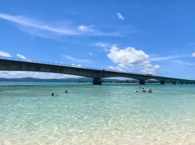 Classic Northern Okinawa Day Tour from Naha: Cape Manzamo, Kouri Island, Okinawa Churaumi Aquarium & American Village