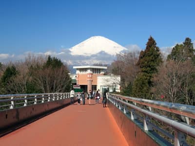Desde Ueno/Shinjuku: Fuji, Oshino Hakkai y Gotemba Premium Outlets — 6