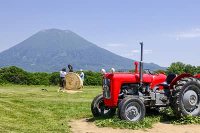 I 北海道の湖と山を巡る 支笏湖・ニセコ・羊蹄山ドライブコース — 4