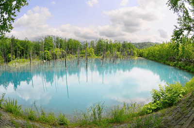 O Zoo d'Asahiyama et Lac Bleu : Circuit Express — 4