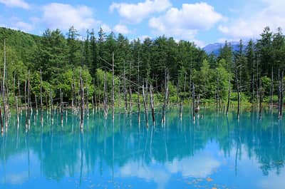 O Zoo d'Asahiyama et Lac Bleu : Circuit Express — 3