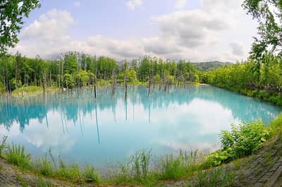 G Highland Furano, Farm Tomita, Shikisai no Oka & Blauer Teich Beliebter Sightseeing-Kurs (Audio-Guide, Mittagessen inklusive) — 8