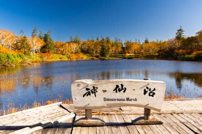R Autumn Shinsen Marsh & Niseko Great Nature Experience Course ~Unexplored Shinsen Marsh, Tastes of the Earth, and Kyogoku's Top 100 Spring Waters~