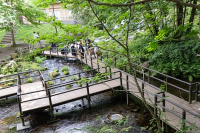 R Khóa trải nghiệm thiên nhiên tuyệt vời Shinsen Marsh & Niseko mùa thu ~Shinsen Marsh chưa được khám phá, hương vị từ đất trời và nguồn nước suối nằm trong Top 100 của Kyogoku~ — 4