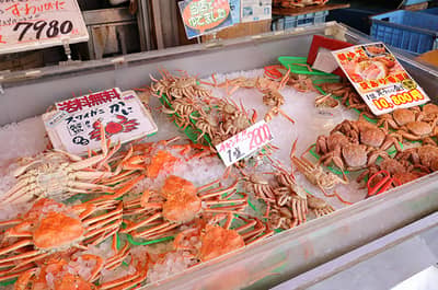 Sapporo Morning Tour: Shiroi Koibito Park, Okurayama & Market — 4