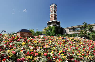 Sapporo Morning Tour: Shiroi Koibito Park, Okurayama & Market — 2