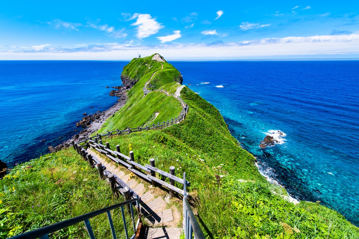 [Hokkaido Regular Sightseeing Bus] N Shakotan Cape Kamui, Otaru Canal, and Shiroi Koibito Park Tour(Excluding Multilingual Audio System)