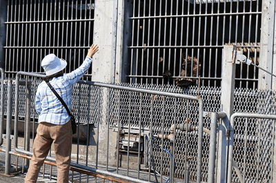 Hokkaido Bus: Lake Shikotsu & Lake Toya Loop — 6