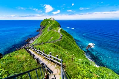 M Autumn Scenic Shakotan Cape Course - Includes Day Trip Bathing at Misaki-no-Yu Shakotan