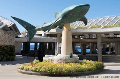 沖繩美麗海水族館 線上購票（門票）