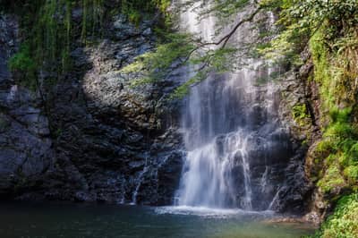 Hankyu Takarazuka Line 1-Day Pass + Minoh Waterfall Hiking Tour — 10