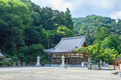 Hankyu Takarazuka Line 1-Day Pass + Minoh Waterfall Hiking Tour — 7