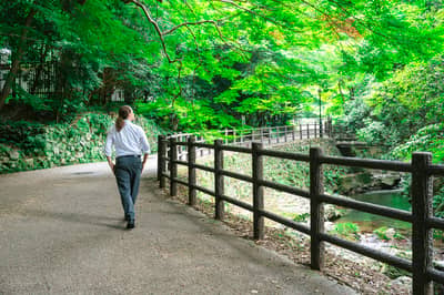 Hankyu Takarazuka Line 1-Day Pass + Minoh Waterfall Hiking Tour — 3