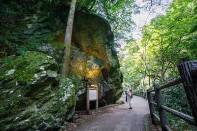 Hankyu Takarazuka Line 1-Day Pass + Minoh Waterfall Hiking Tour — 5