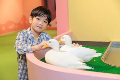 DMMかりゆし水族館 入館チケット — 4