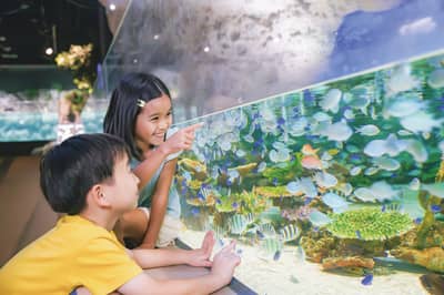 DMMかりゆし水族館 入館チケット — 2