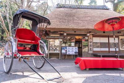 Nara Rickshaw Private Hire Plan