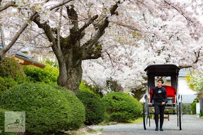 京都嵐山人力車貸切プラン — 2