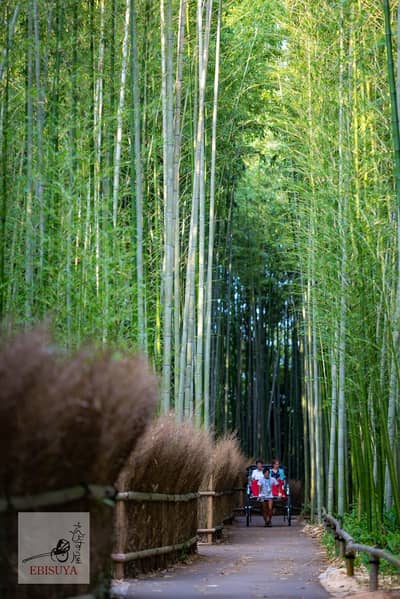 京都嵐山人力車貸切プラン — 9