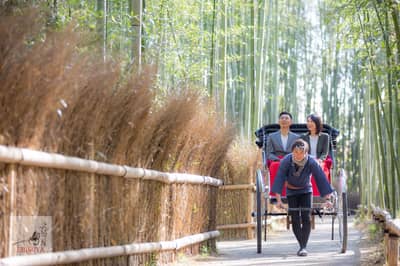 京都嵐山人力車貸切プラン — 10