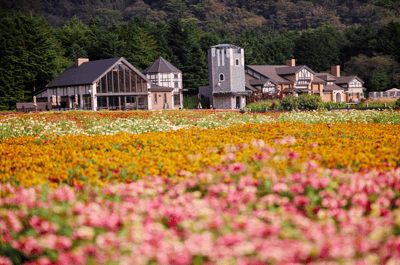 Billet en prévente « Rainbow Flower Festival » au Fuji Motosuko Resort — 3