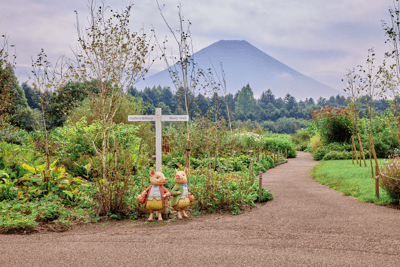 Billet en prévente « Rainbow Flower Festival » au Fuji Motosuko Resort