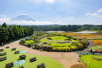 Billet en prévente « Rainbow Flower Festival » au Fuji Motosuko Resort — 4