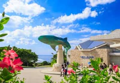 2026 Churaumi 5-Pass (5 attractions incl. Churaumi Aquarium) and Okinawa 3-Pass — 4