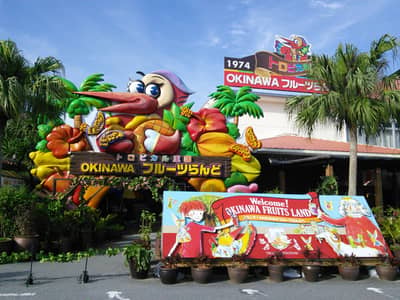 2026 Churaumi 5-Pass (5 attractions incl. Churaumi Aquarium) and Okinawa 3-Pass — 9