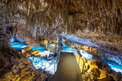 2026 Churaumi 5-Pass (5 attractions incl. Churaumi Aquarium) and Okinawa 3-Pass — 8