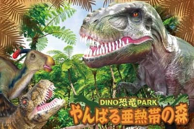 2026 Churaumi 5-Pass (5 attractions incl. Churaumi Aquarium) and Okinawa 3-Pass — 10