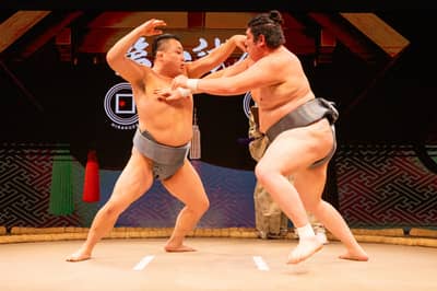 THE SUMO LIVE RESTAURANT 日楽座 GINZA TOKYO Sumo Show お食事付きプラン — 4