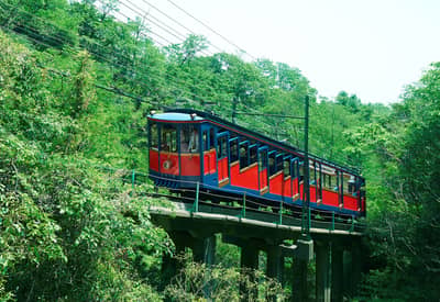 Hanshin 1-day Pass Rokko Mountain Set — 3