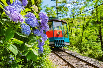 Hanshin 1-day Pass Rokko Mountain Set — 4
